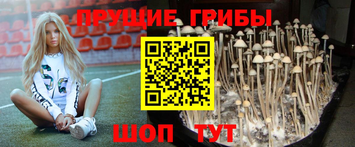 Галлюциногенные грибы GOLDEN TEACHER Изобильный