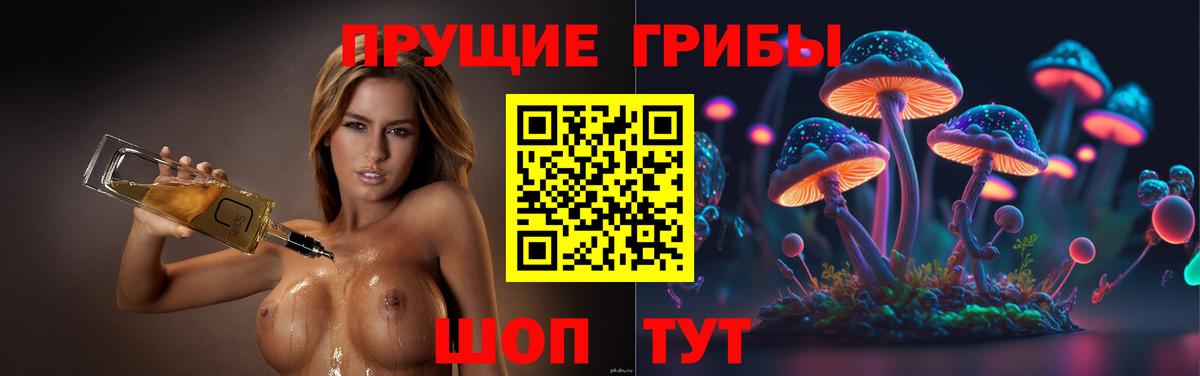 Галлюциногенные грибы MAGIC MUSHROOMS  продажа наркотиков  Галлюциногенные грибы GOLDEN TEACHER  Изобильный  Вход с VPN 